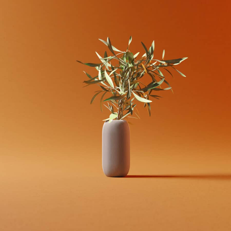 Vase mit trocken Blumen vor orangenem Hintergrund